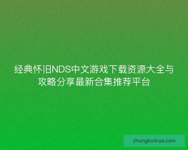 经典怀旧NDS中文游戏下载资源大全与攻略分享最新合集推荐平台